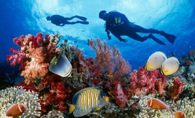5 Things to do in Las Terrenas